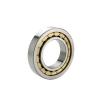 NU2326-E-M1A FAG Cylindrical Roller Bearing